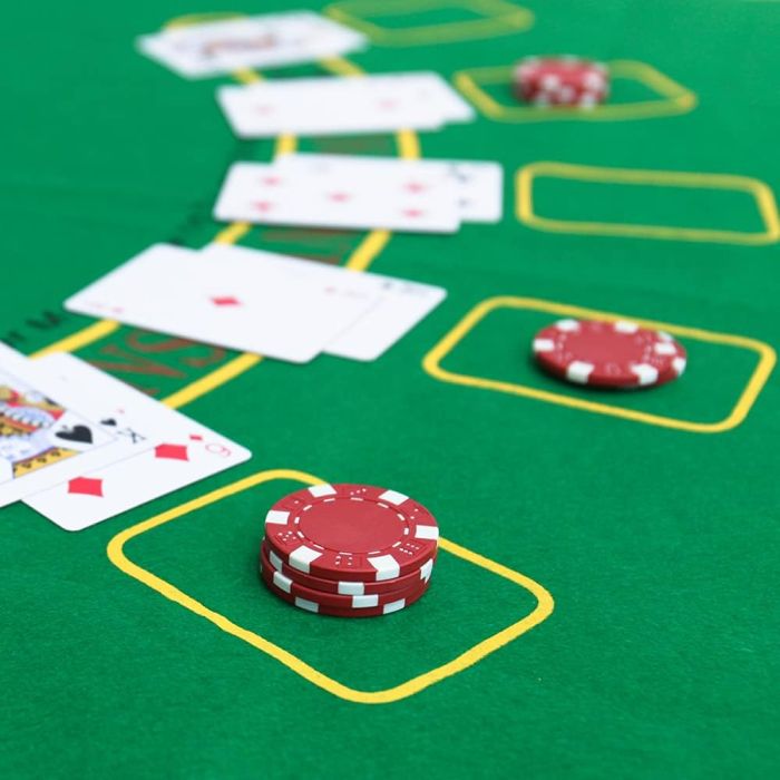 PLAYWUS Poker Chip Set for Beginners, 200 Pcs Casino Poker Chips with Aluminum Case,11.5 Gram Chips with Iron Insert for Texas Holdem Blackjack Gambling